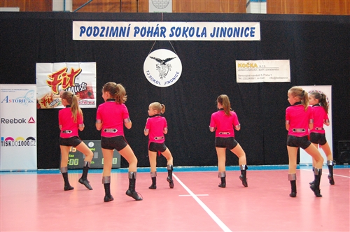 Obrázek v galerii