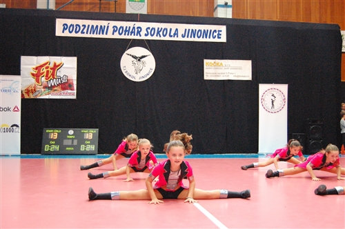 Obrázek v galerii