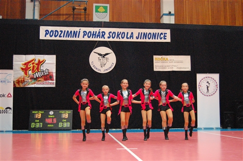 Obrázek v galerii