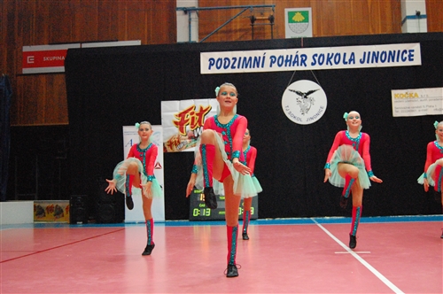 Obrázek v galerii