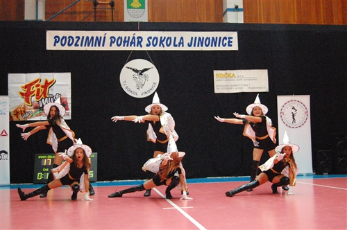 Obrázek v galerii