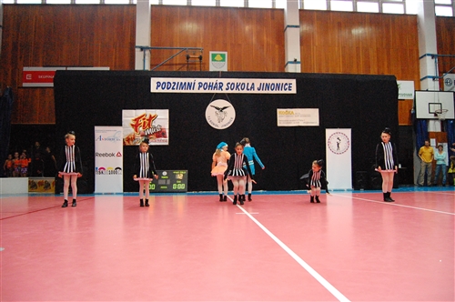Obrázek v galerii