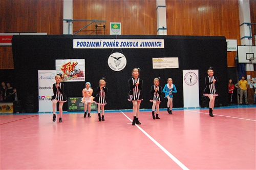 Obrázek v galerii