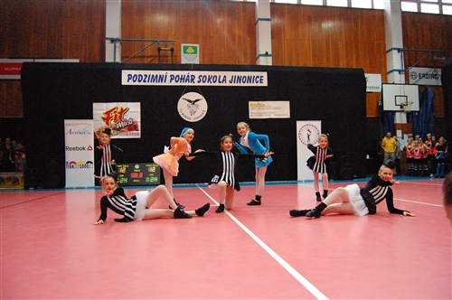 Obrázek v galerii