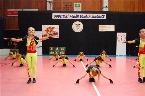 Obrázek v galerii
