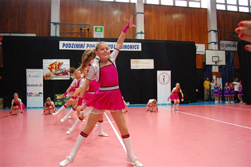 Obrázek v galerii