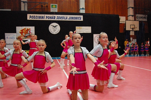 Obrázek v galerii