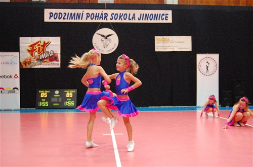 Obrázek v galerii