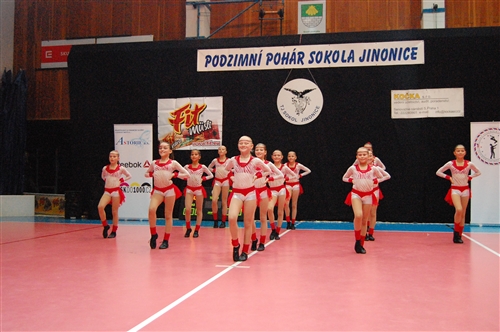 Obrázek v galerii