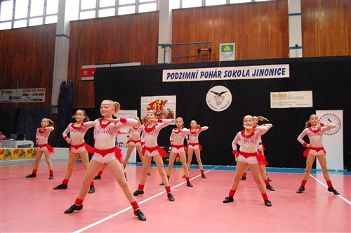 Obrázek v galerii