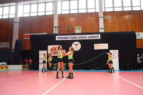 Obrázek v galerii