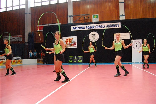Obrázek v galerii