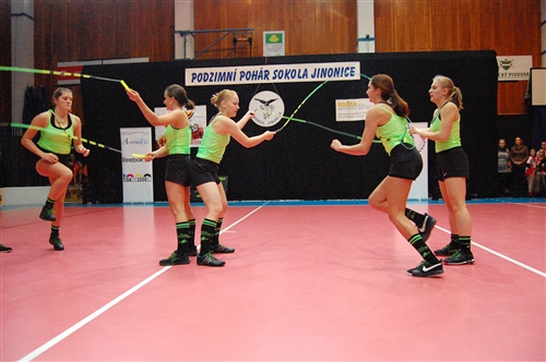 Obrázek v galerii