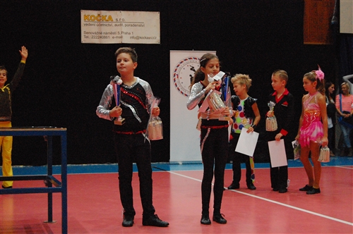 Obrázek v galerii