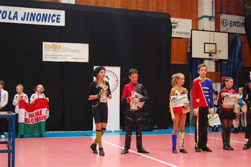 Obrázek v galerii