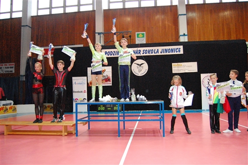 Obrázek v galerii