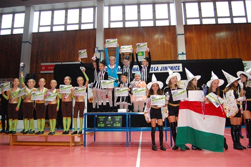 Obrázek v galerii