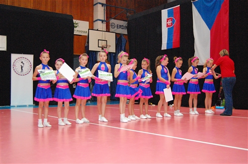 Obrázek v galerii