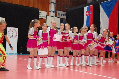 Obrázek v galerii
