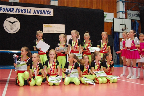 Obrázek v galerii