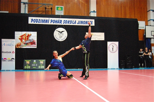 Obrázek v galerii