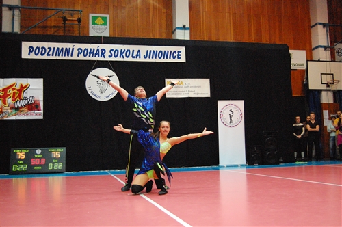 Obrázek v galerii