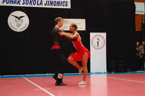 Obrázek v galerii