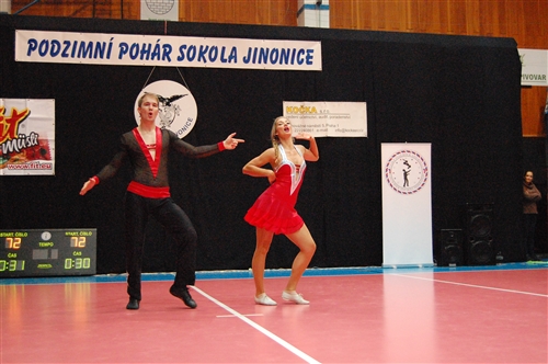 Obrázek v galerii