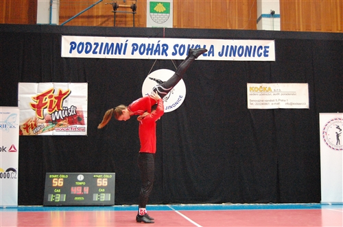 Obrázek v galerii