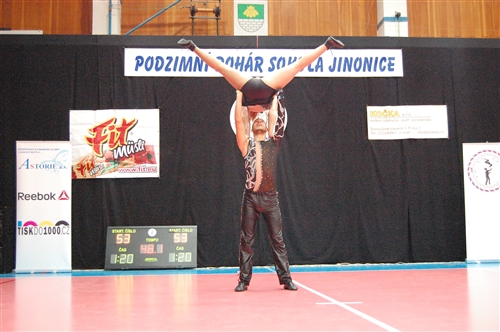 Obrázek v galerii