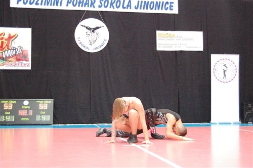 Obrázek v galerii