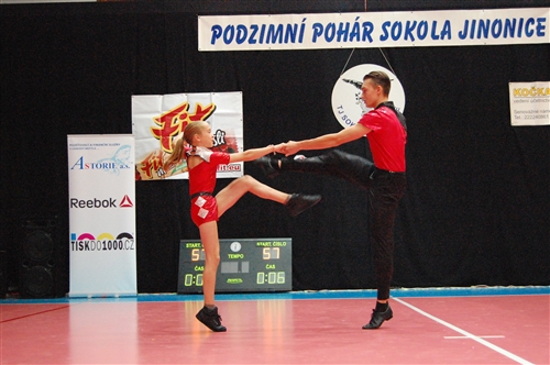 Obrázek v galerii