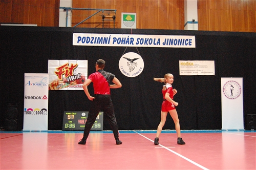 Obrázek v galerii