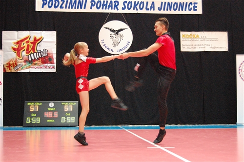 Obrázek v galerii