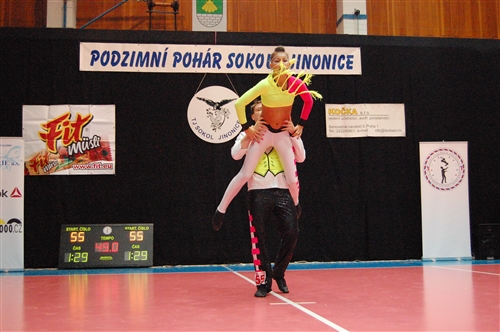 Obrázek v galerii
