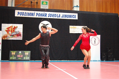 Obrázek v galerii
