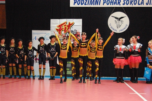 Obrázek v galerii