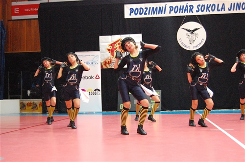 Obrázek v galerii