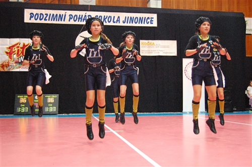 Obrázek v galerii