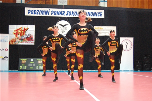 Obrázek v galerii