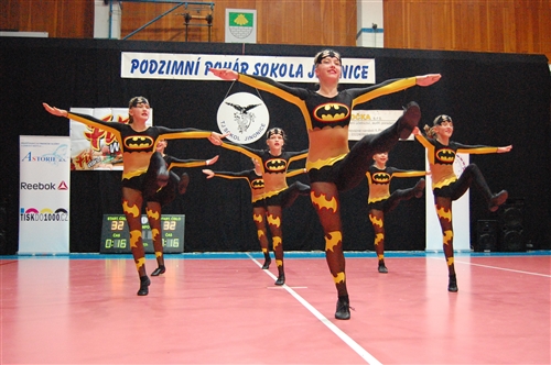 Obrázek v galerii
