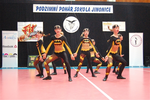 Obrázek v galerii