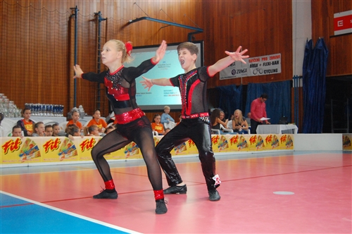 Obrázek v galerii