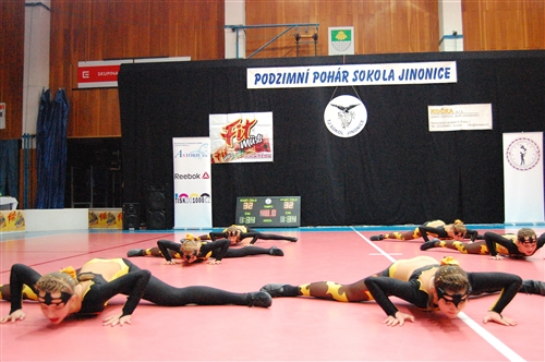 Obrázek v galerii
