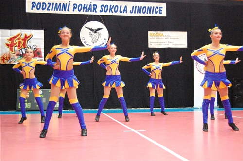 Obrázek v galerii