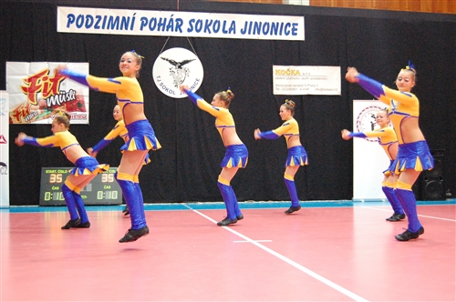 Obrázek v galerii