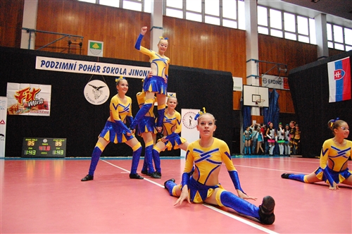 Obrázek v galerii