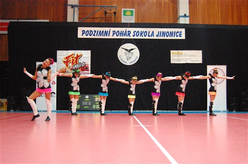 Obrázek v galerii