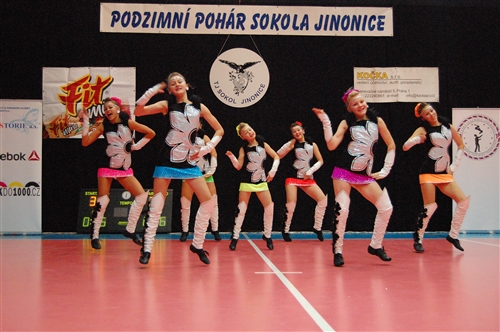 Obrázek v galerii