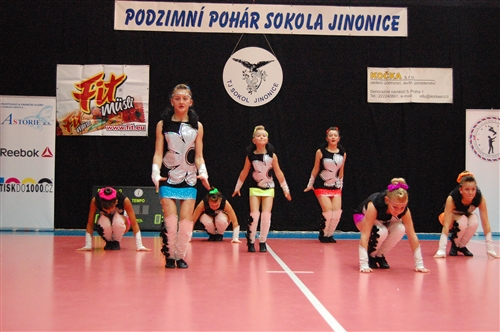 Obrázek v galerii